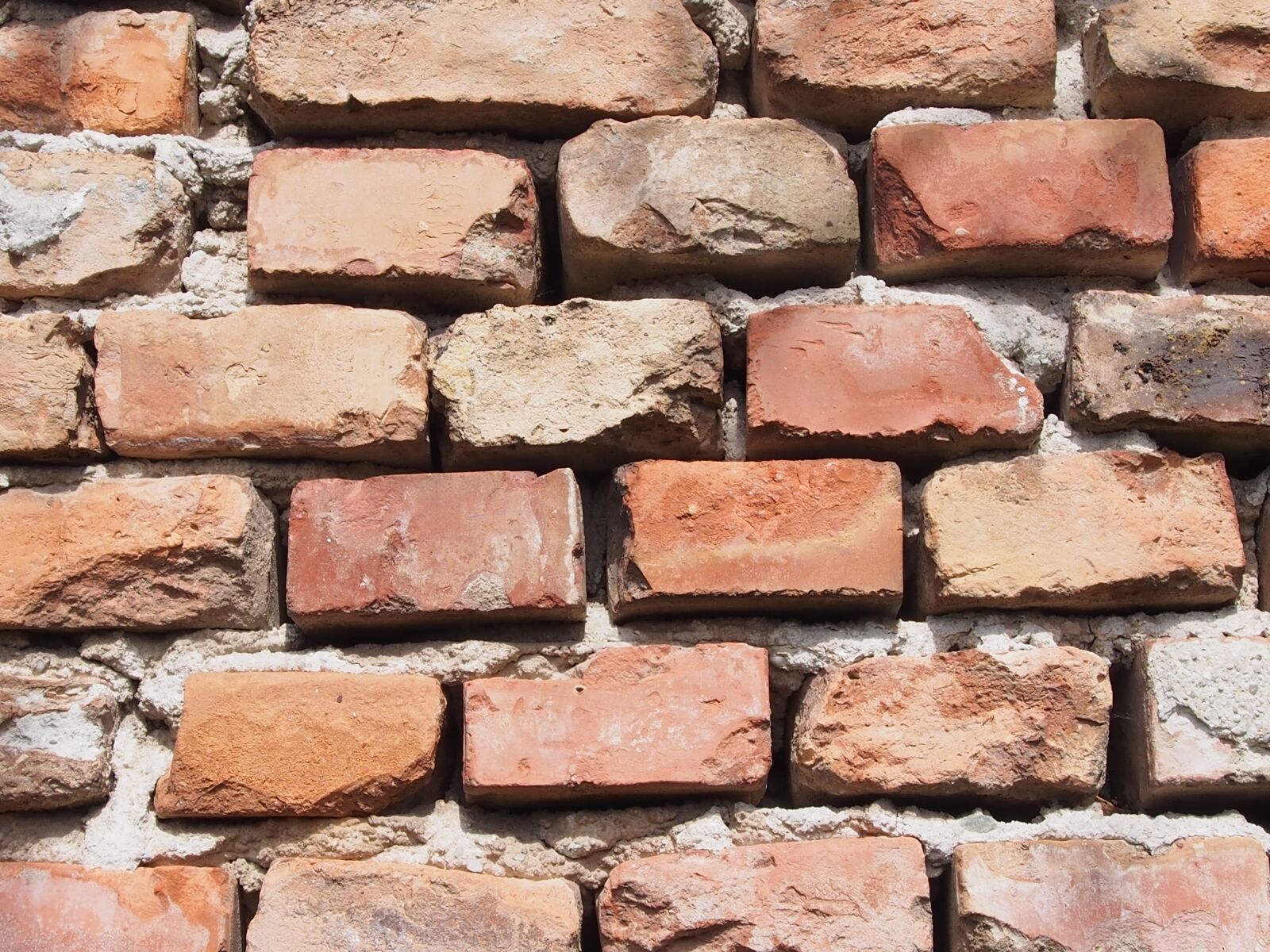 OLYMPUS M.12-50mm F3.5-6.3 sample photo. Brick, wall, brick wall photography