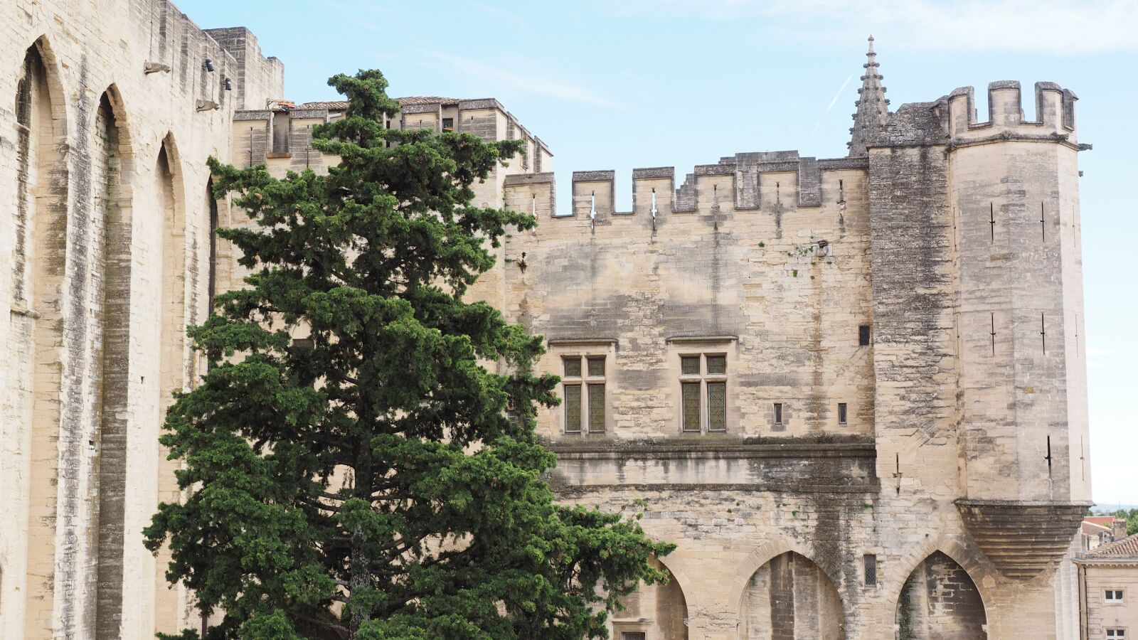 Olympus OM-D E-M1 + Olympus M.Zuiko Digital ED 12-40mm F2.8 Pro sample photo. Avignon, palais des papes photography