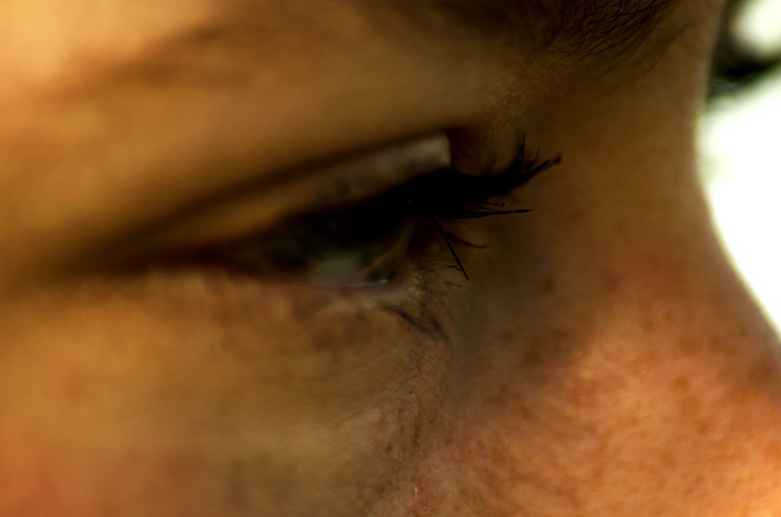 Nikon D5100 sample photo. Eyes, eyelashes, freckles photography