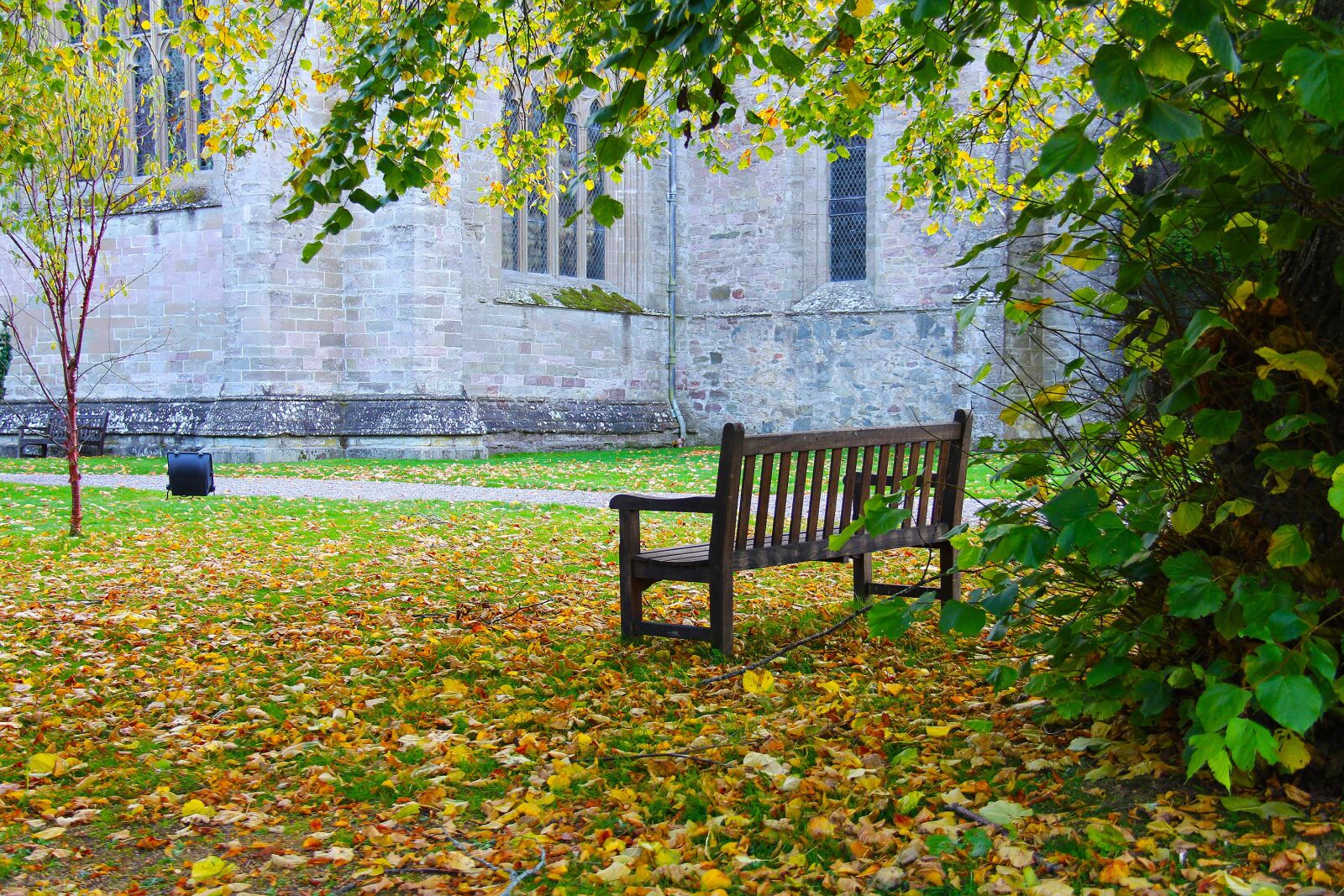 Canon EF-S 18-200mm F3.5-5.6 IS sample photo. Leaf, bench, tree photography