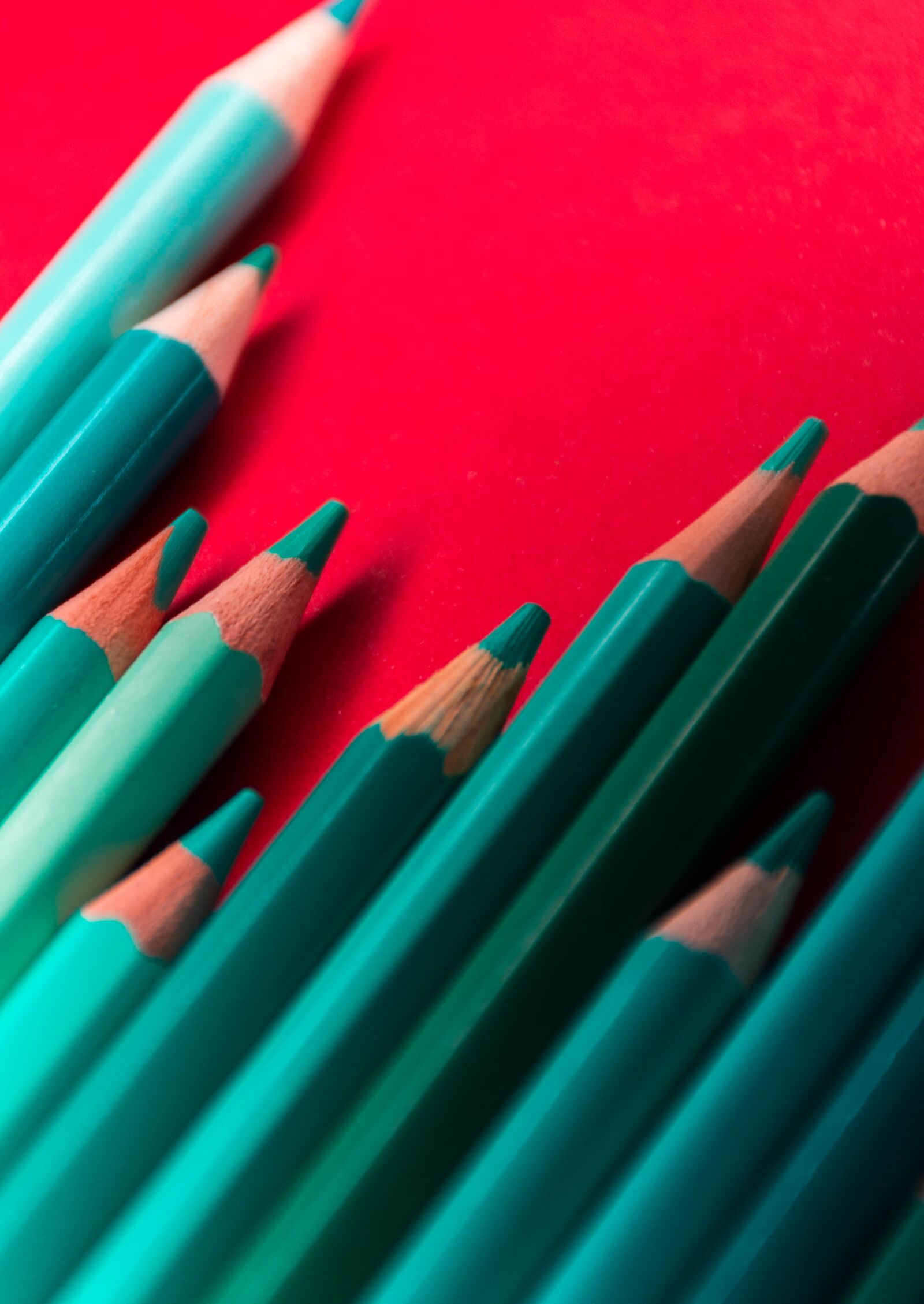 Nikon D7200 sample photo. Pencils, red, school photography