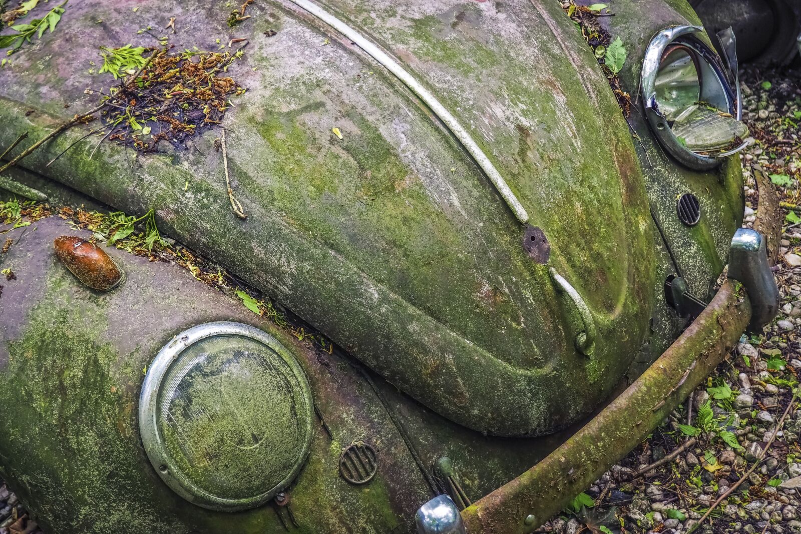 Olympus OM-D E-M10 sample photo. Auto, car cemetery, oldtimer photography