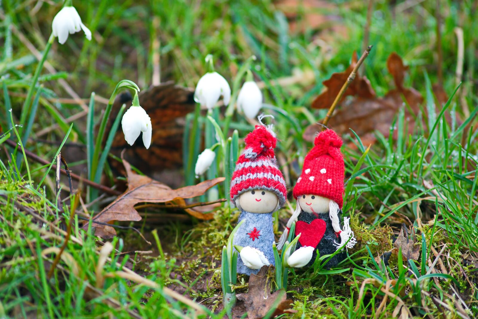 Nikon D3300 sample photo. Beautiful day, snowdrops, grass photography