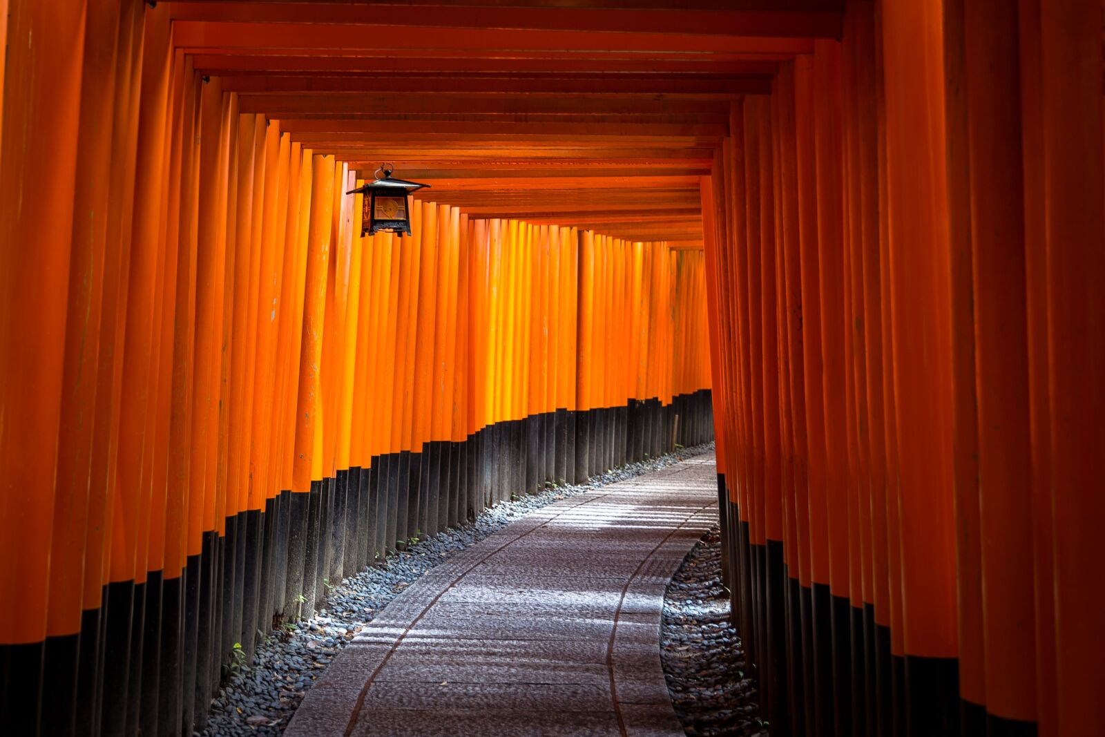 Canon EF 24-70mm F2.8L II USM sample photo. Pathway, alley, art photography