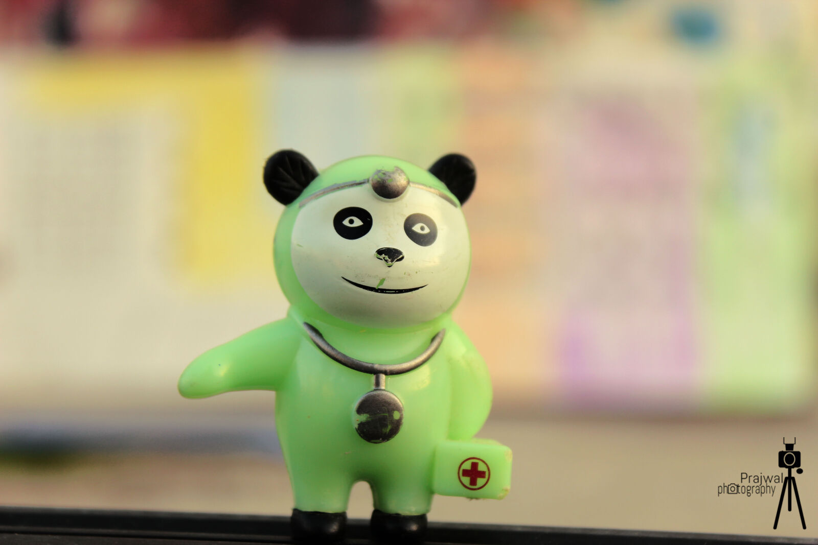 Canon EOS 600D (Rebel EOS T3i / EOS Kiss X5) sample photo. Cool, doctor, mini, panda photography