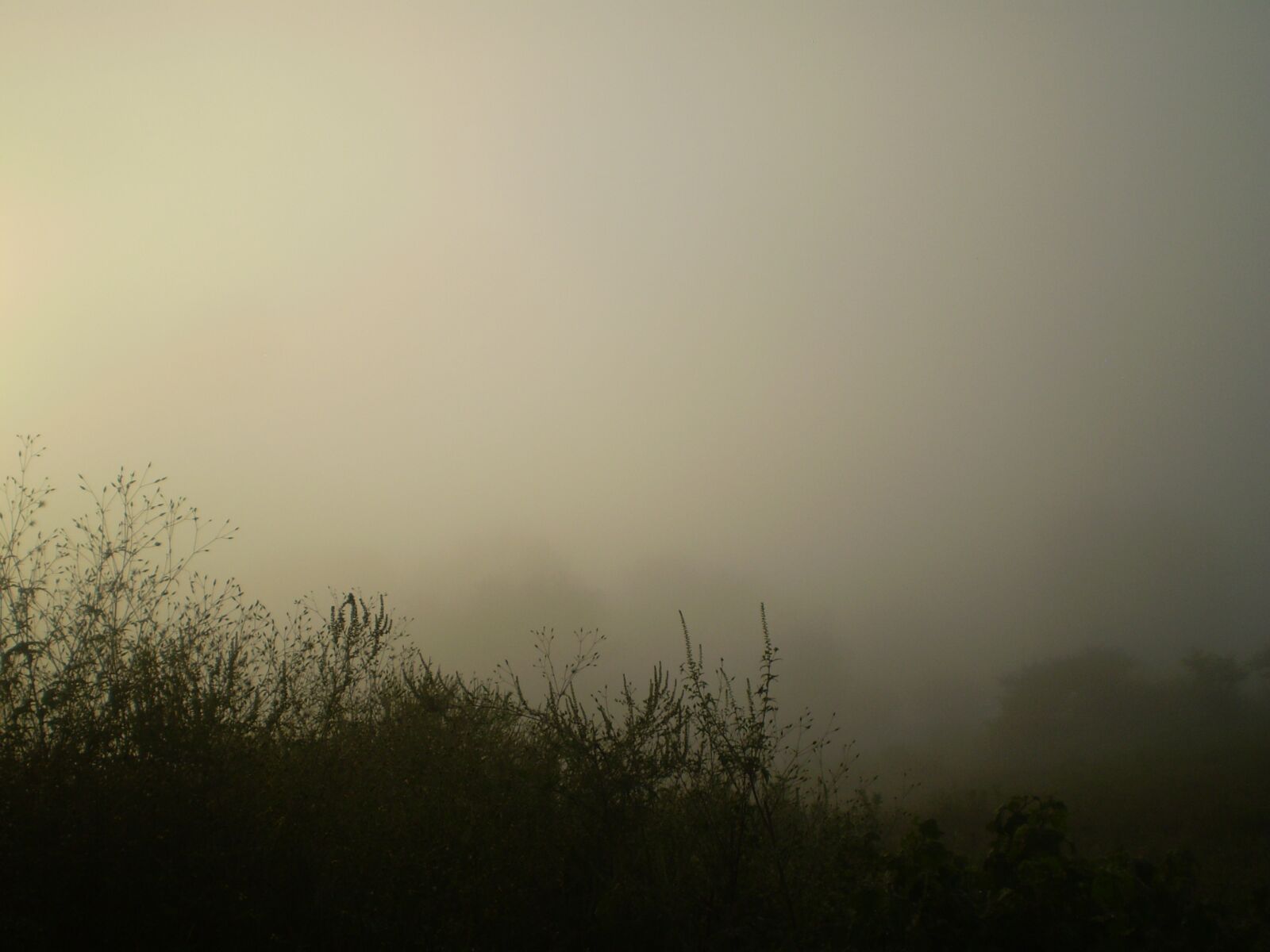 Olympus FE210,X775 sample photo. Fog, sunset, trasluz photography