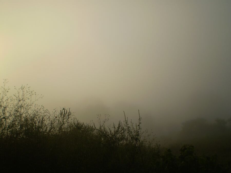 Olympus FE210,X775 sample photo 7YEOK09cjS ExploreCams