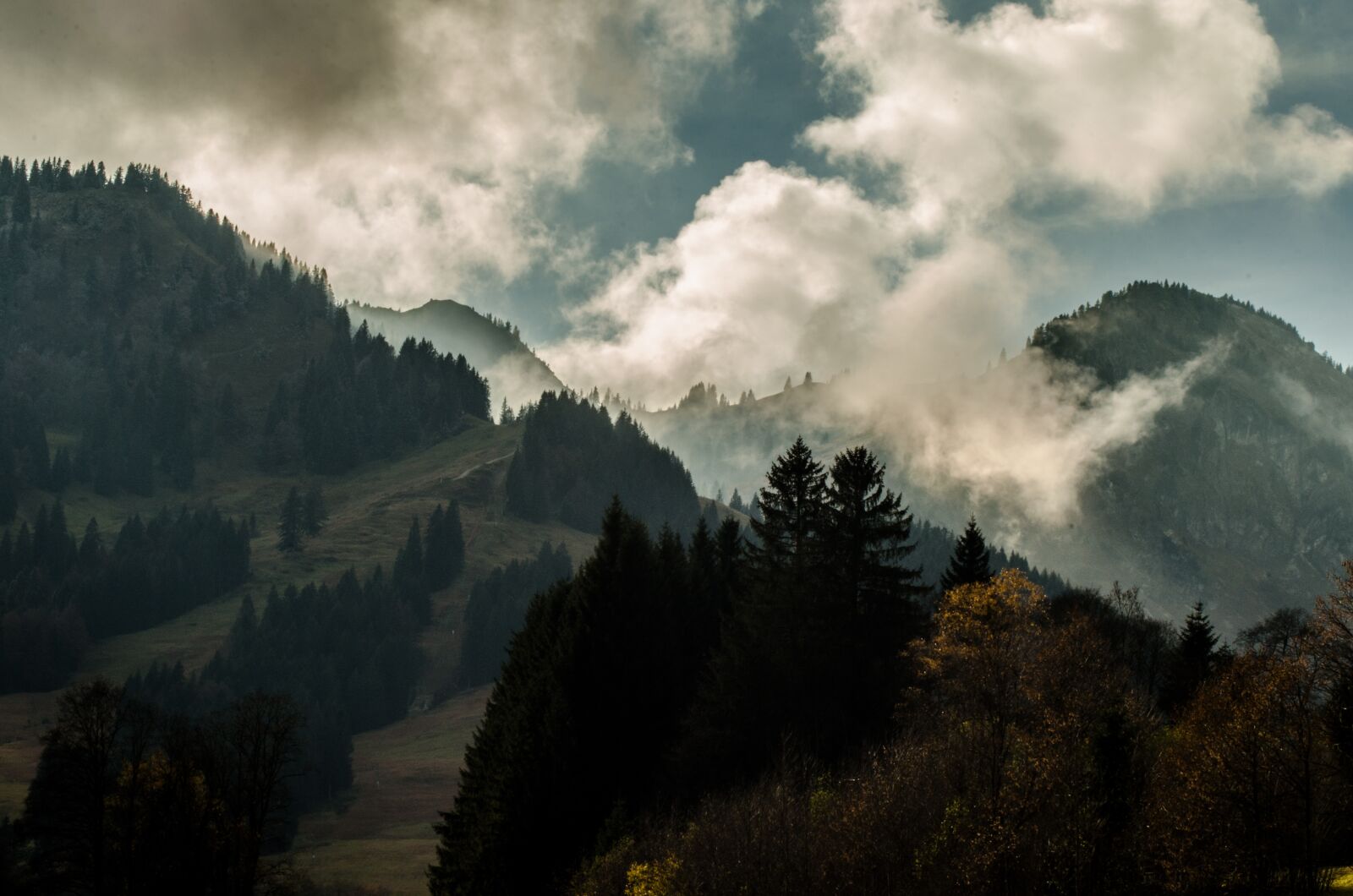 Nikon D5100 sample photo. November, mood, gloomy photography