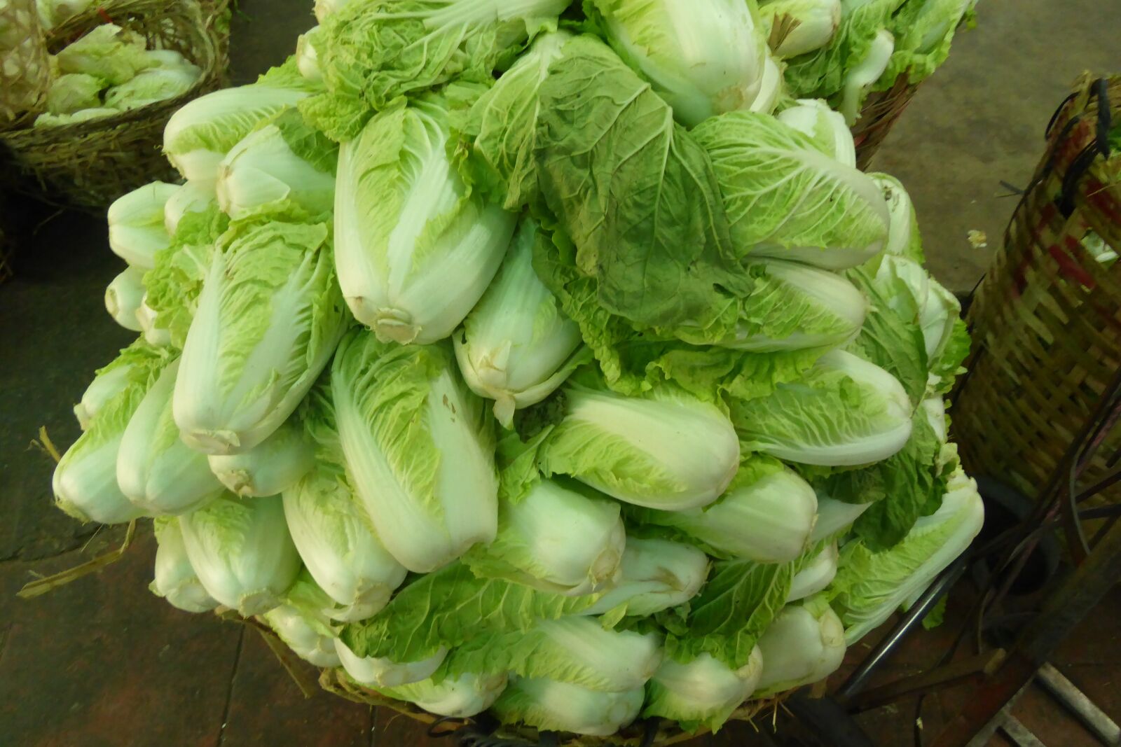 Panasonic Lumix DMC-ZS40 (Lumix DMC-TZ60) sample photo. Vegetables, cabbage, costs photography