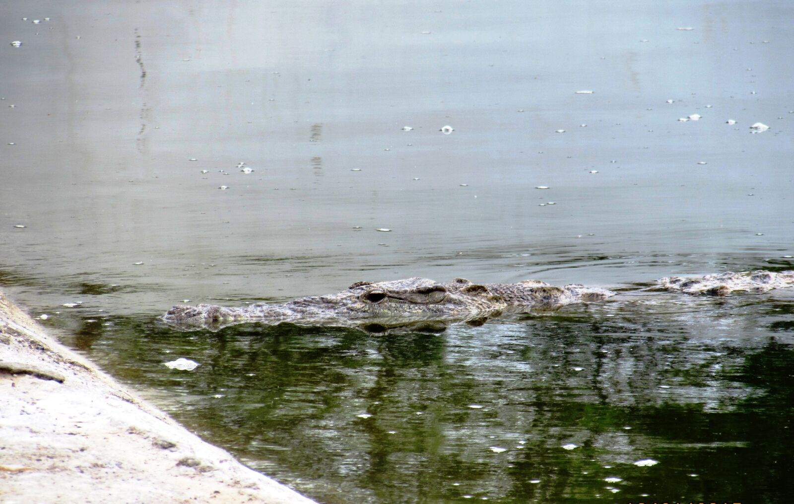 Canon PowerShot SX510 HS sample photo. Cayman, port, pizarro photography