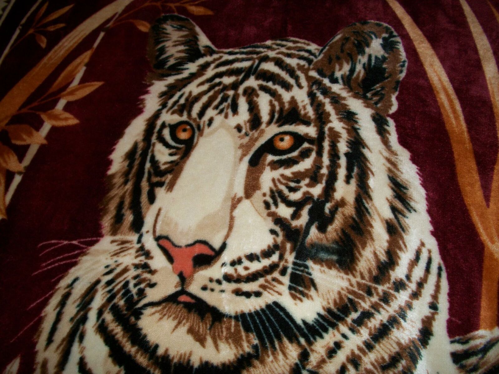 Kodak EASYSHARE M340 DIGITAL CAMERA sample photo. Tiger, bengal, white photography