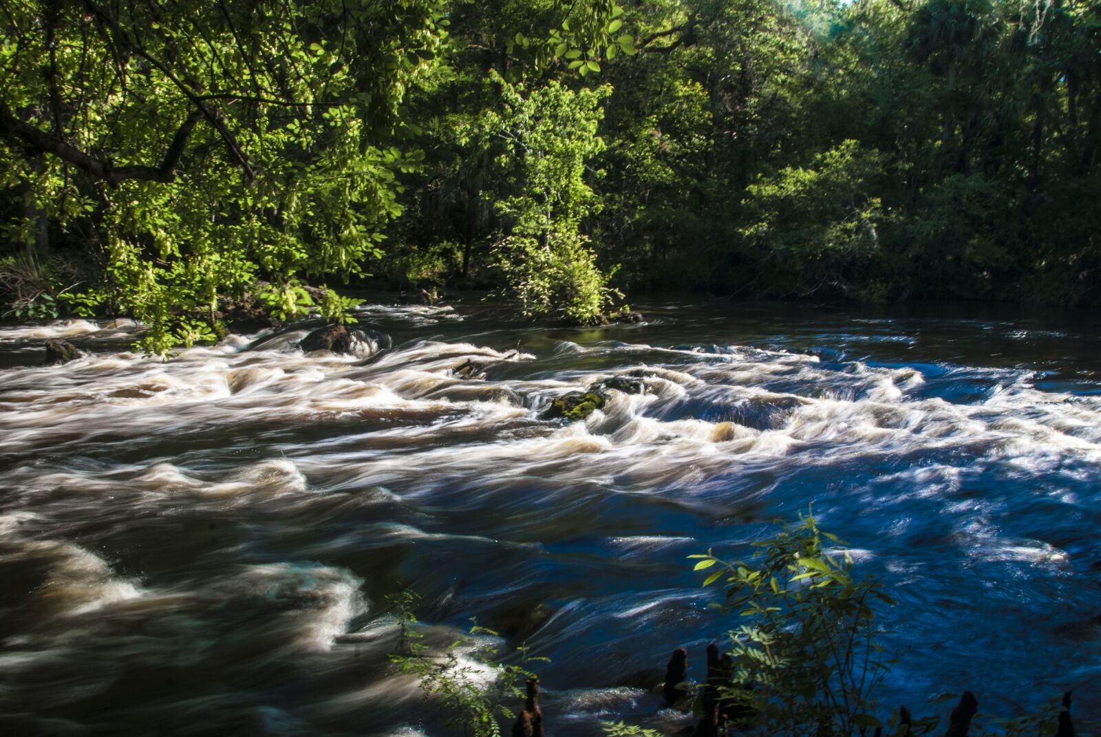 Nikon D40X sample photo. River, rapids, hillsborough photography