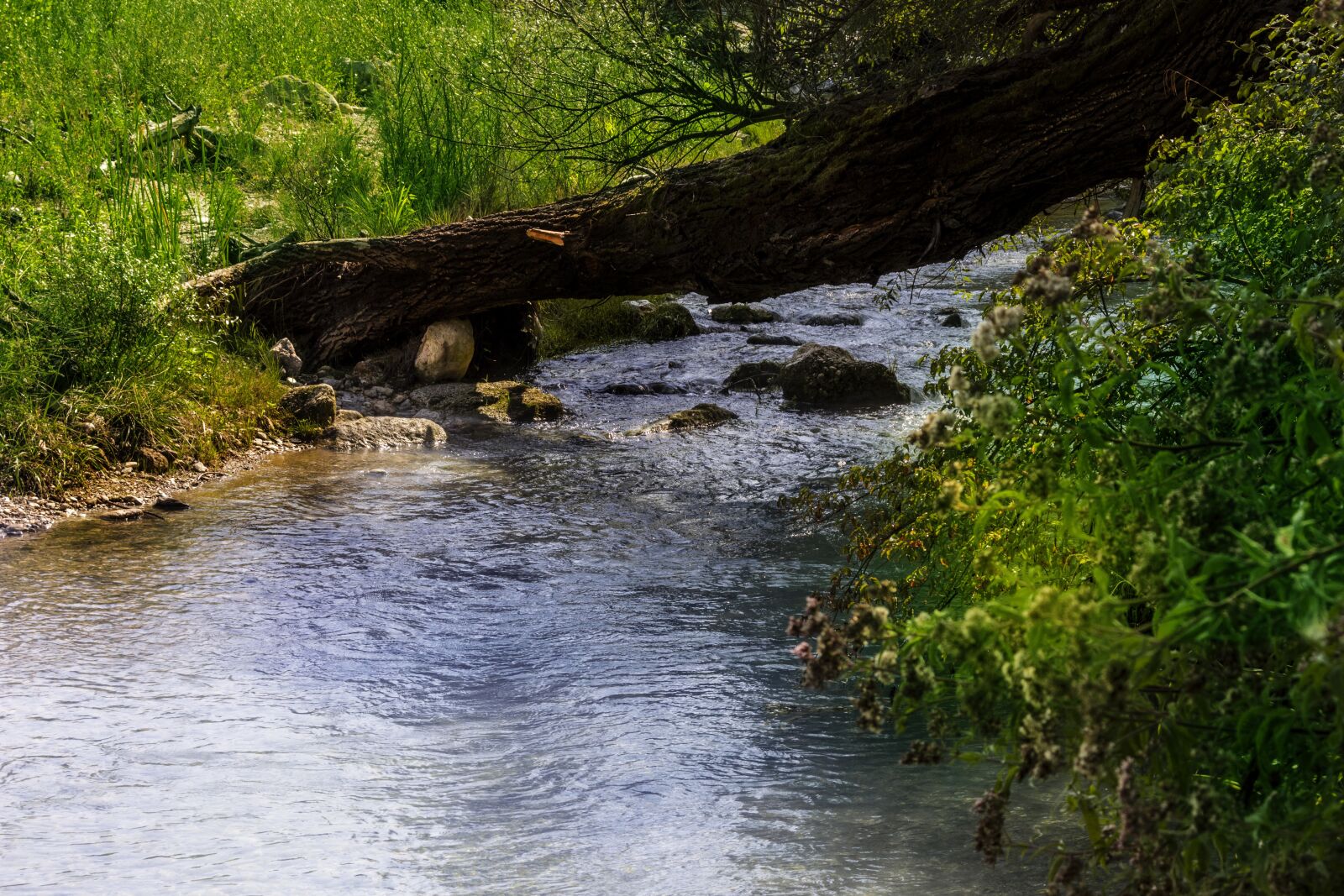 Canon EOS 1300D (EOS Rebel T6 / EOS Kiss X80) sample photo. Stream, river, nature photography