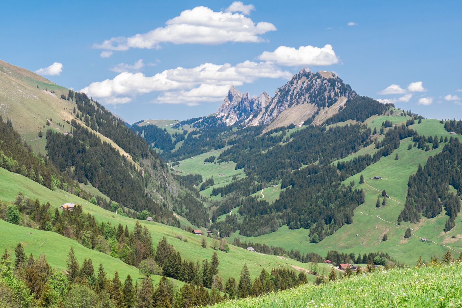 Panasonic Lumix G Vario 14-140mm F3.5-5.6 ASPH Power O.I.S sample photo. Bernese oberland, switzerland, mountains photography