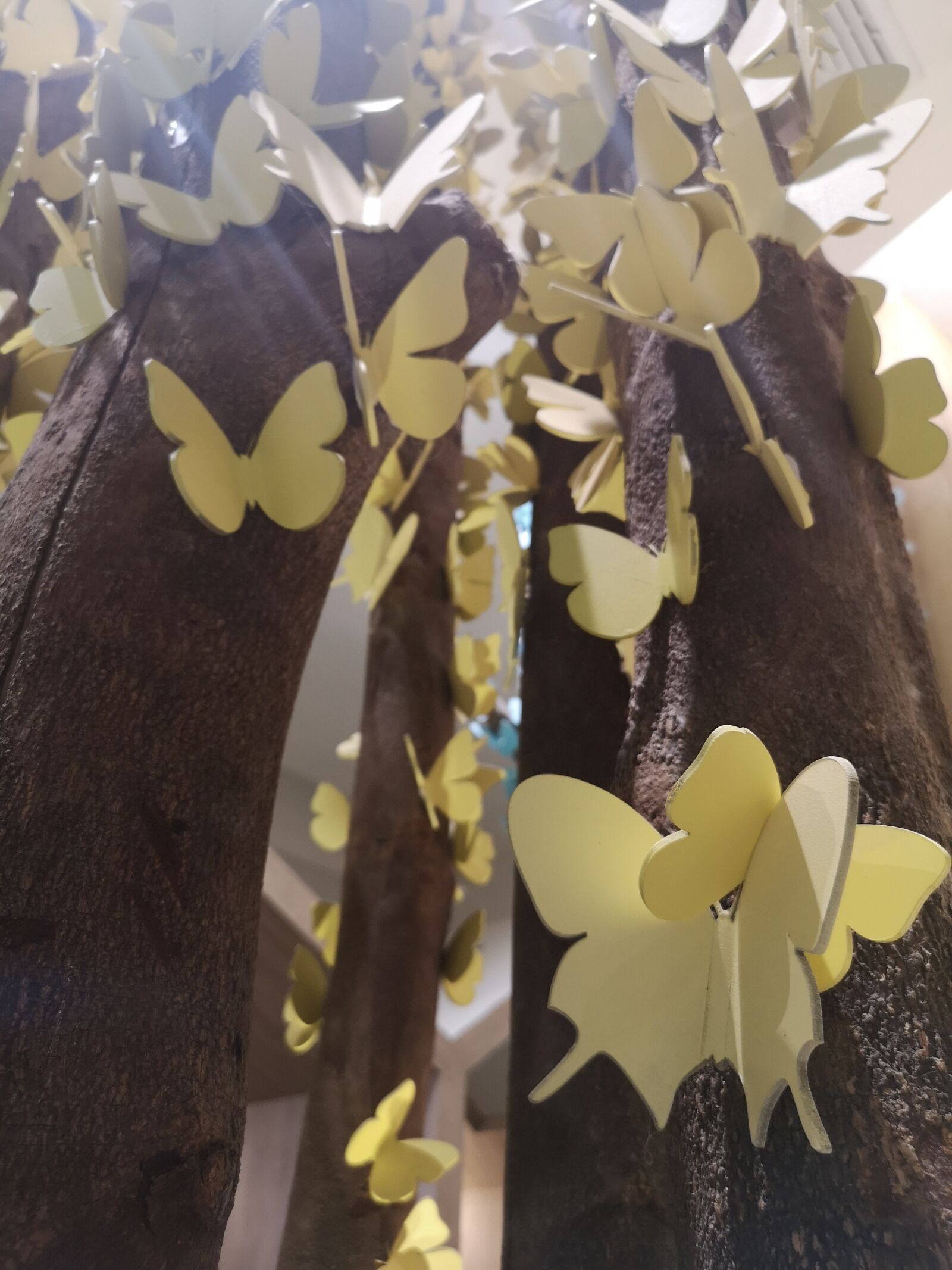 HUAWEI CLT-L29 sample photo. Butterfly, tree, butterfly effect photography