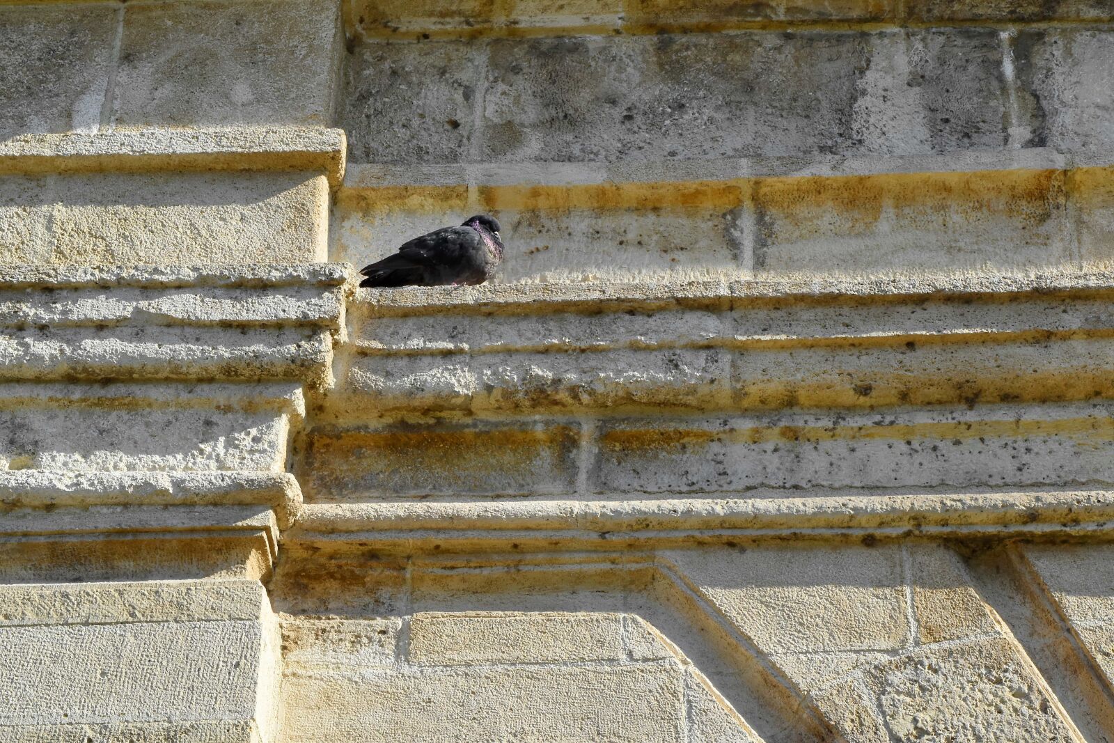 Nikon D5500 sample photo. Architecture, texture, pattern, wall photography