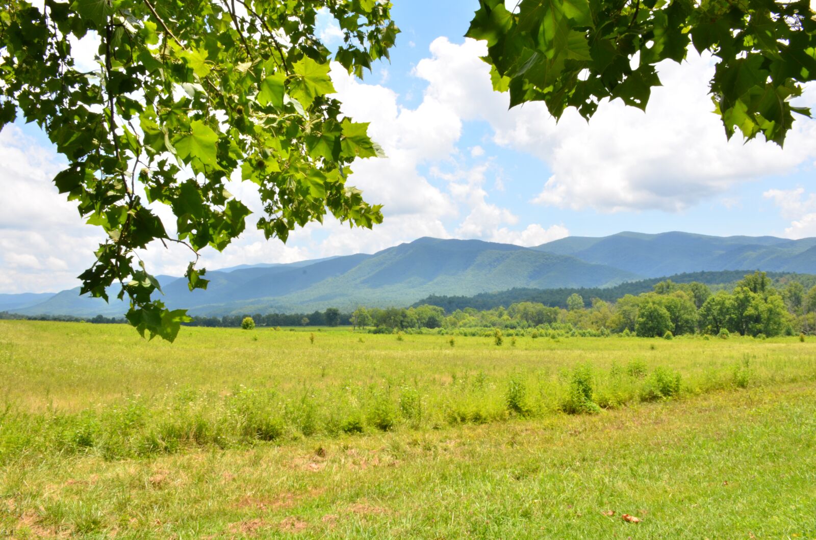 Nikon D7000 sample photo. Landscape, mountain, kodaikanal photography