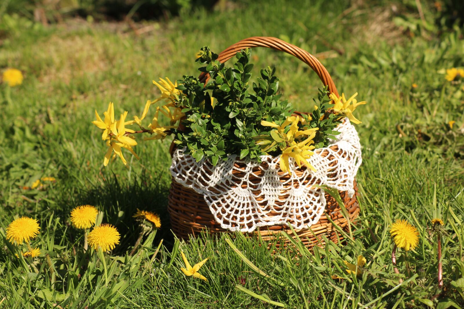 Canon EOS 1200D (EOS Rebel T5 / EOS Kiss X70 / EOS Hi) sample photo. Easter basket, easter, spring photography