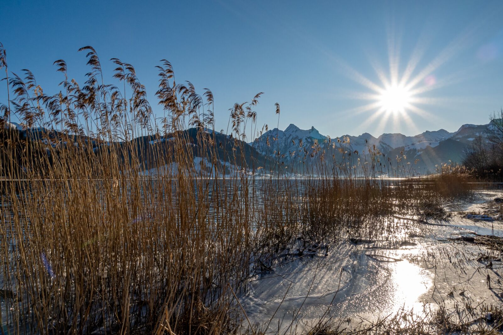 Sony DSC-RX100M5A sample photo. Winter, lake, sihlsee photography