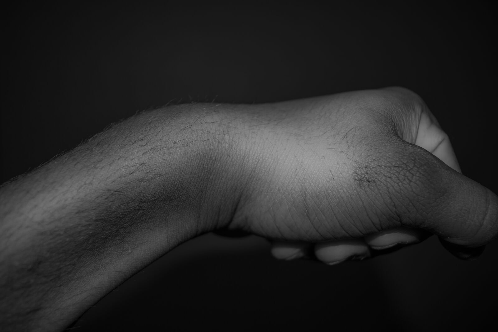 Nikon D5600 sample photo. Hand, black, white photography