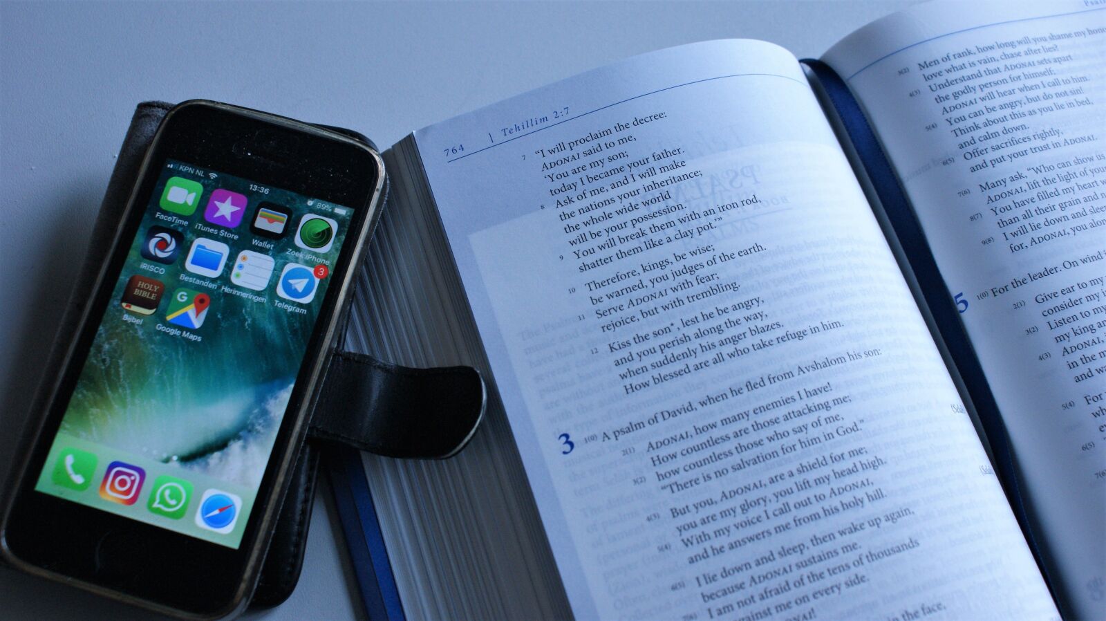 Sony Alpha DSLR-A350 sample photo. Distraction, study, book photography