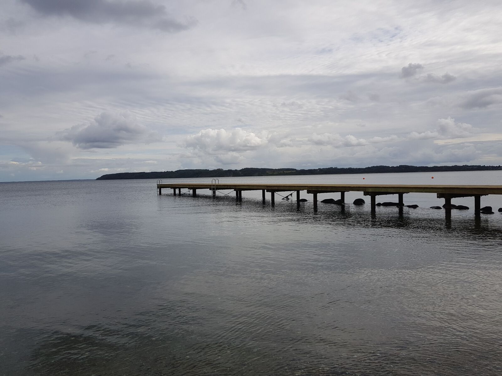 Samsung Galaxy S8+ sample photo. Denmark, web, fish photography