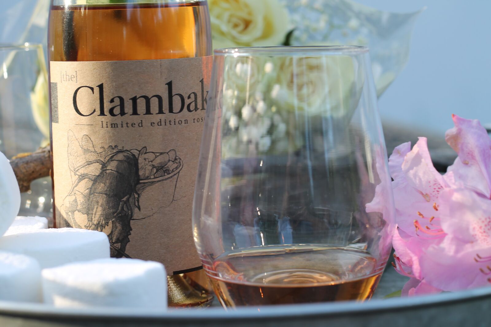 Canon EOS 1100D (EOS Rebel T3 / EOS Kiss X50) sample photo. Clambake, marshmallow, wine photography