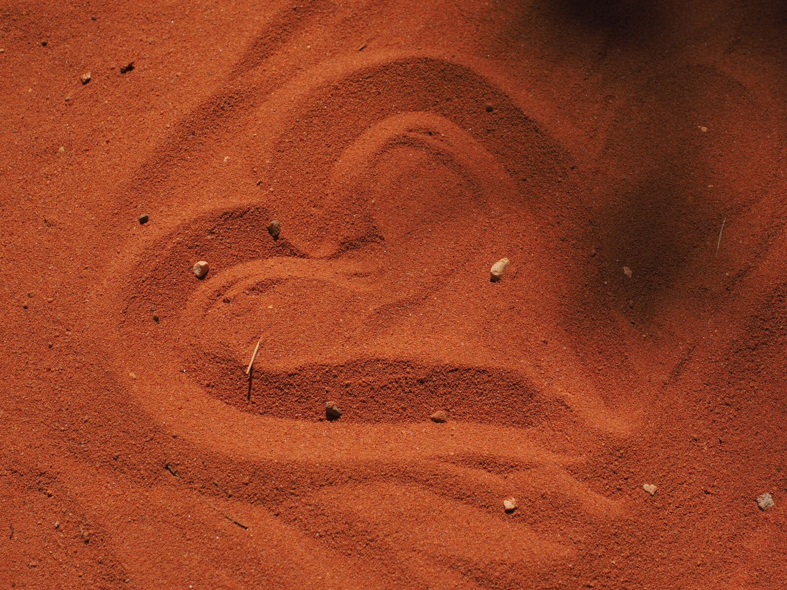 Olympus OM-D E-M1 + Olympus M.Zuiko Digital ED 12-40mm F2.8 Pro sample photo. Heart, love, sand photography
