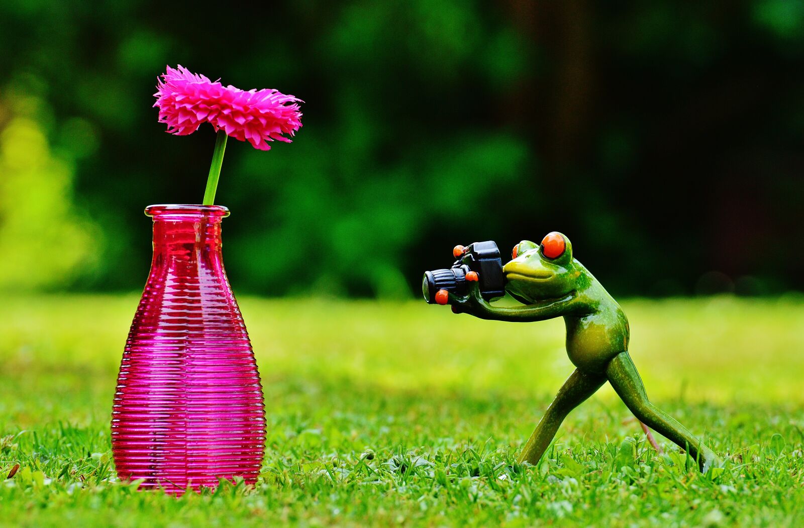 Nikon D3200 sample photo. Vase, flower, frog photography