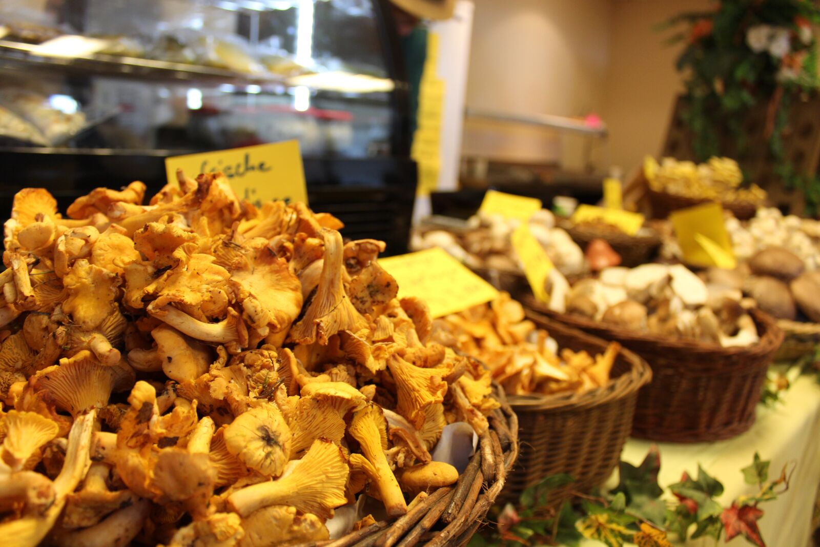 Canon EOS 650D (EOS Rebel T4i / EOS Kiss X6i) sample photo. Mushrooms, chanterelles, food photography