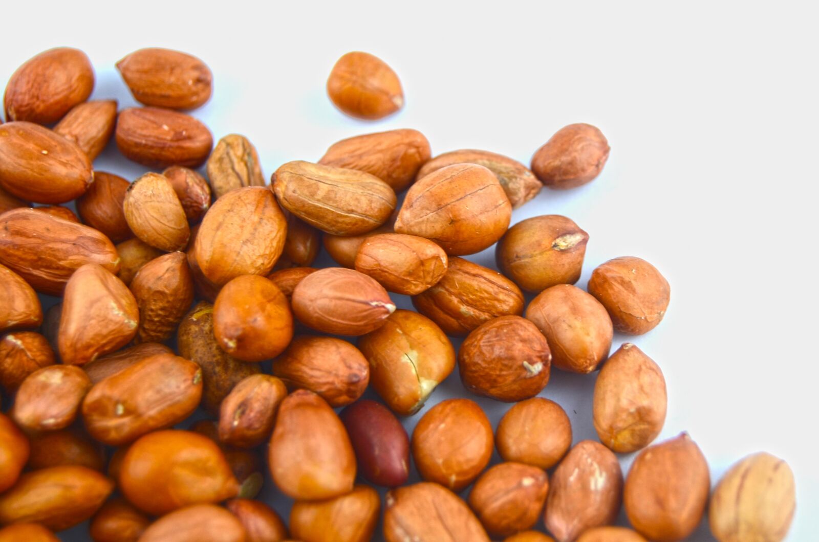 Nikon D7000 sample photo. Peanut, seed, grain photography