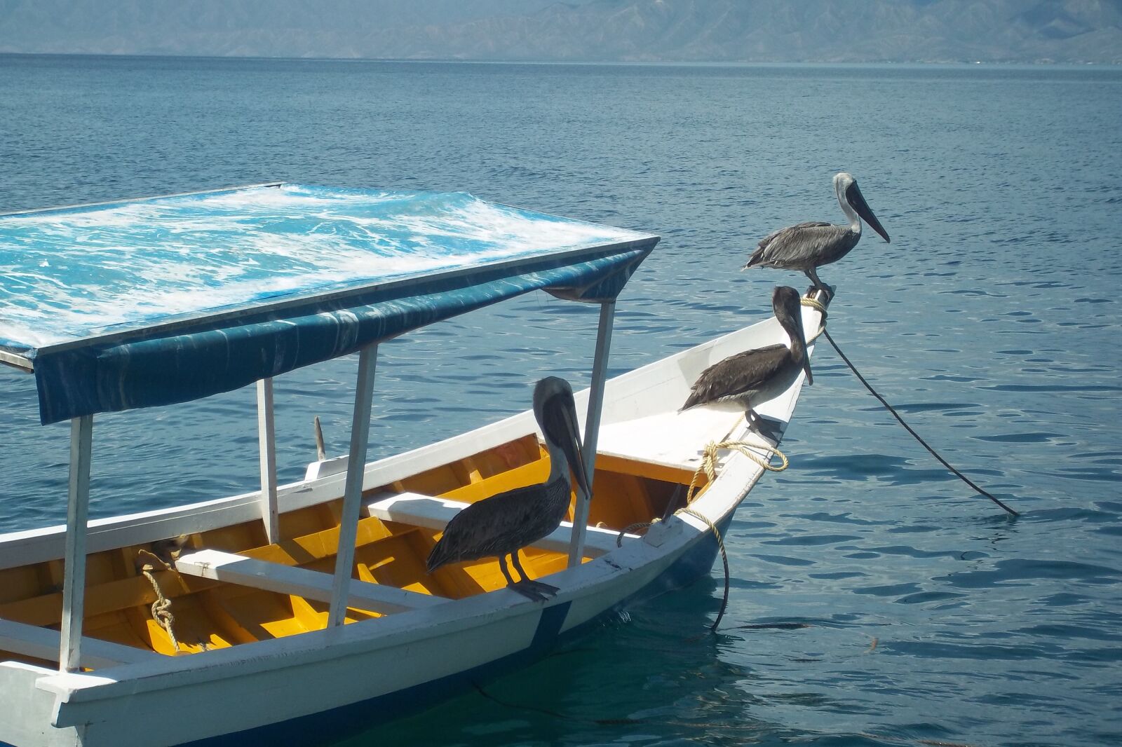 Kodak EASYSHARE M530 DIGITAL CAMERA sample photo. Birds, beach, boat photography