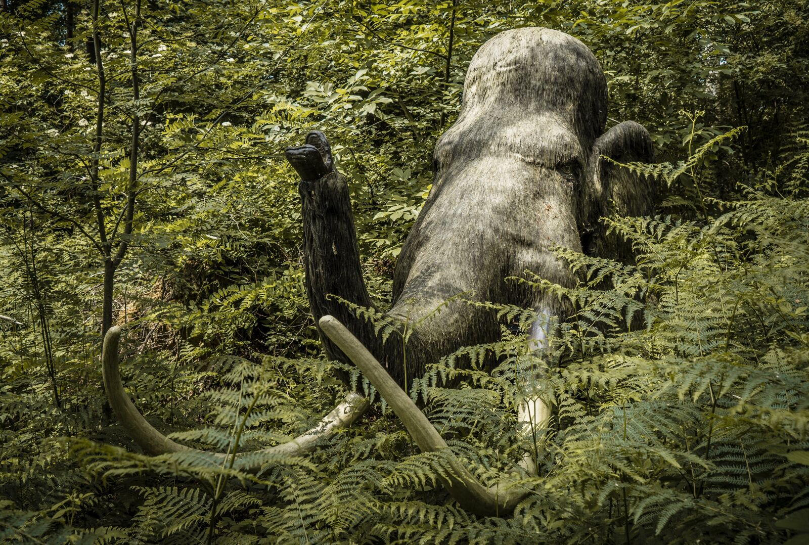 Sony a7S II + Sony Vario Tessar T* FE 24-70mm F4 ZA OSS sample photo. Mammoth, mammoths, stone age photography