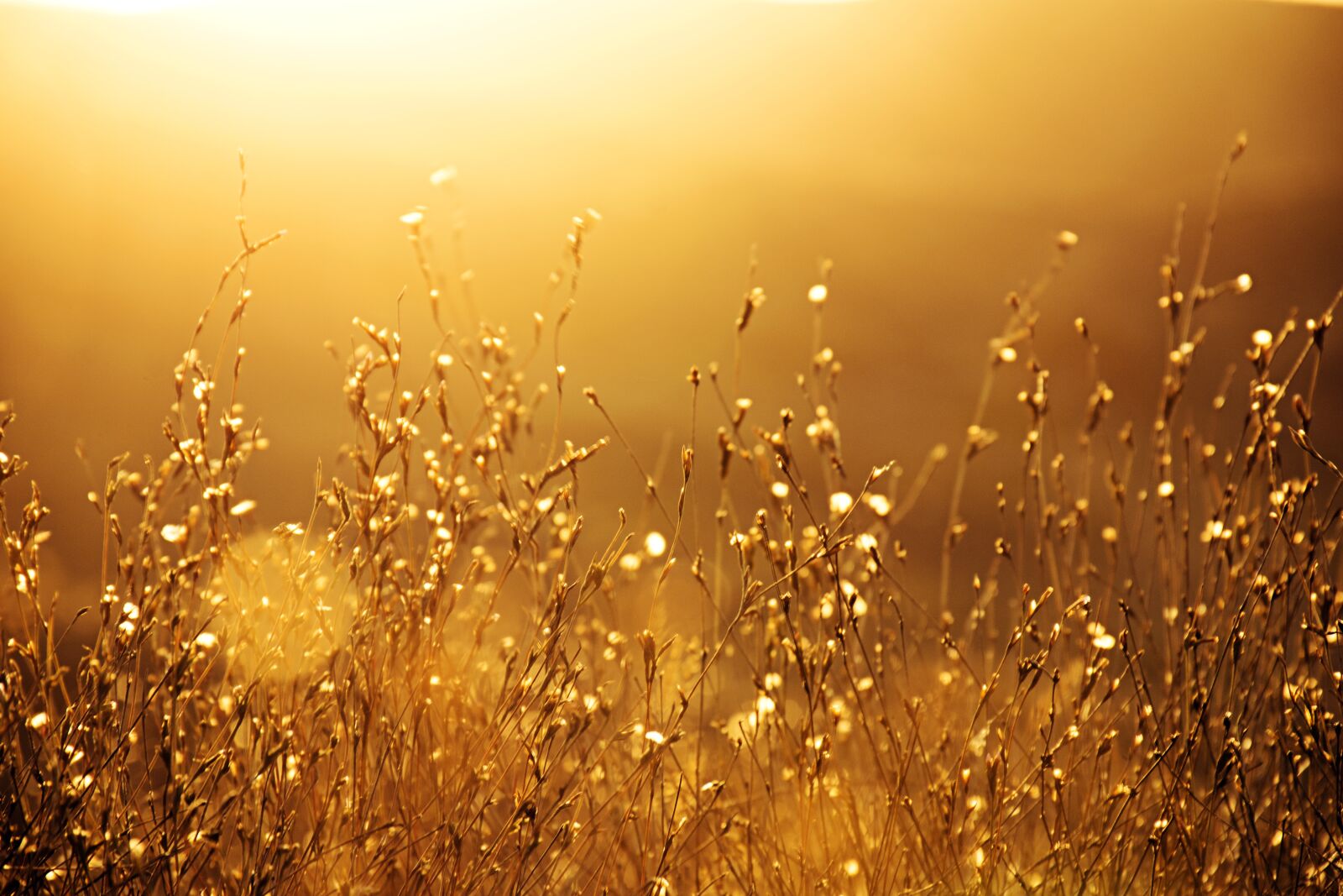 Nikon D5300 sample photo. Sun, sunset, landscape photography