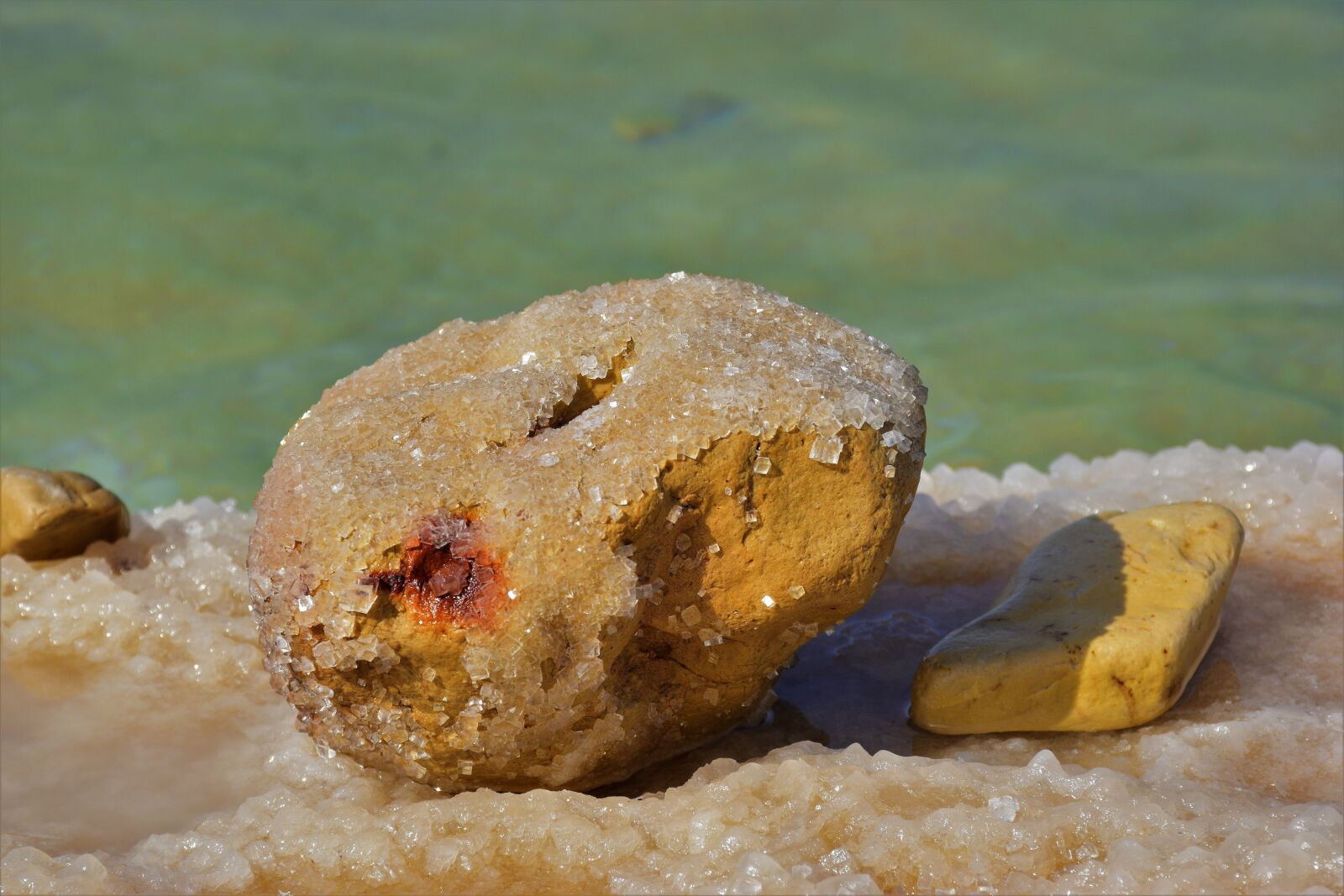 Nikon D5600 sample photo. Dead sea, salt, joy photography