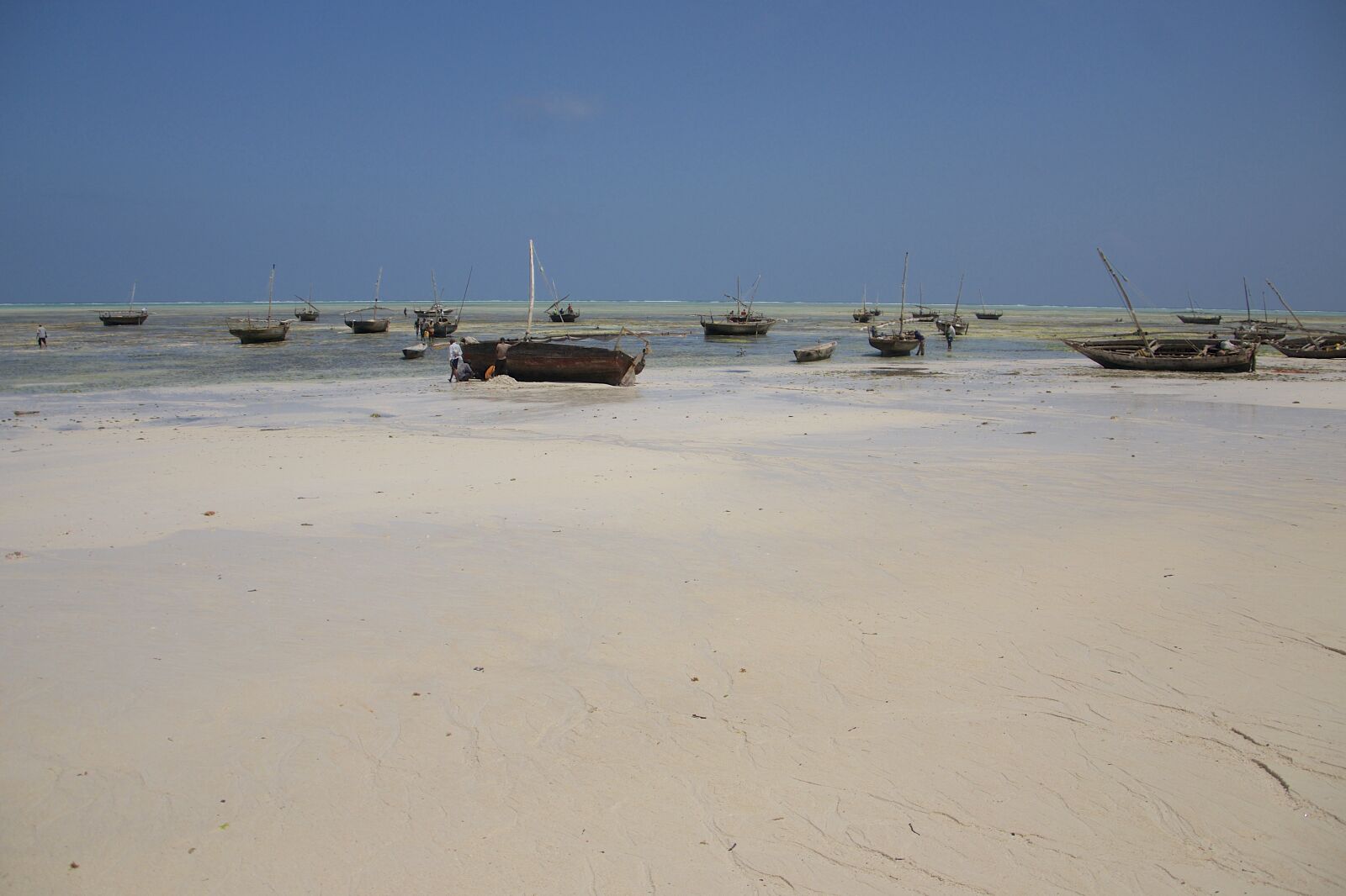 Nikon D300 sample photo. Zanzibar, indian ocean, tanzania photography