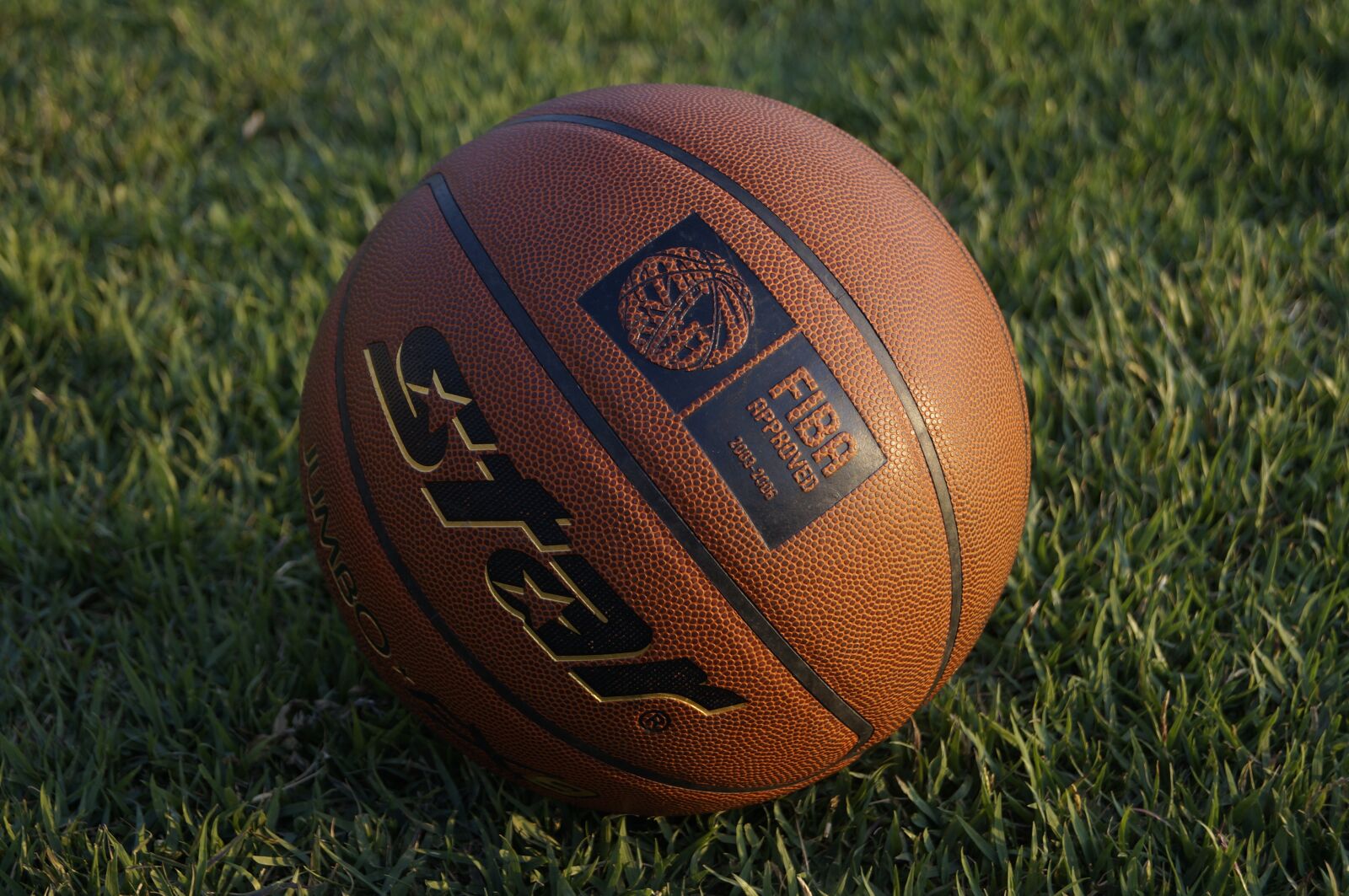 Sony SLT-A57 sample photo. Basketball, ball, basketball ball photography