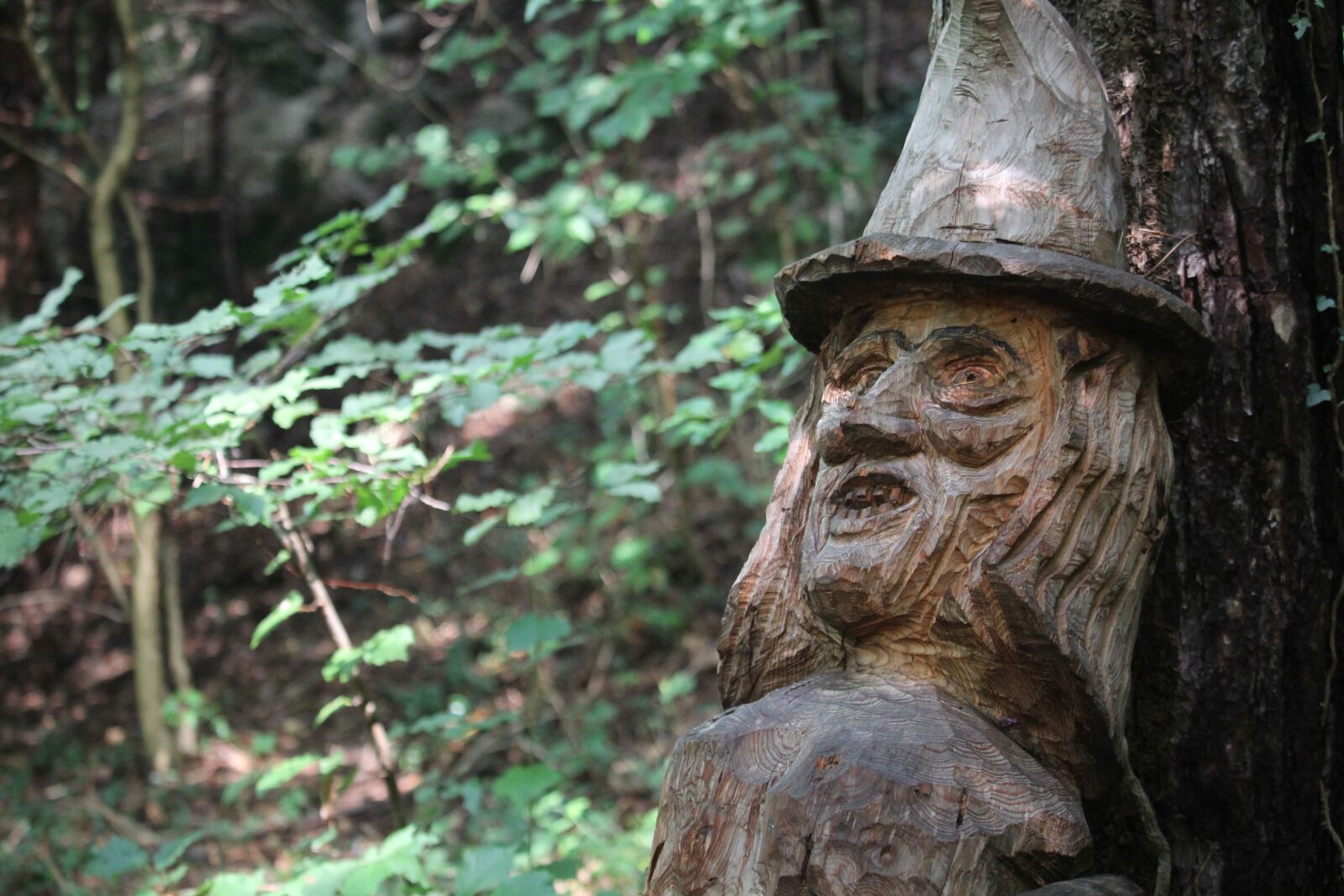 Canon EOS 60D + Canon EF-S 55-250mm F4-5.6 IS STM sample photo. Witch, forest, sculpture photography