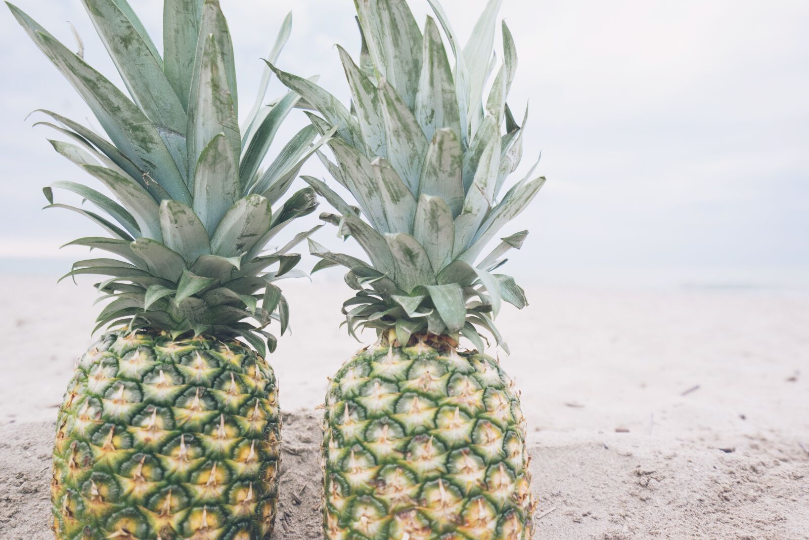 Sony a7 II + Sony Vario-Tessar T* FE 16-35mm F4 ZA OSS sample photo. Beach, fruit, pineapple photography