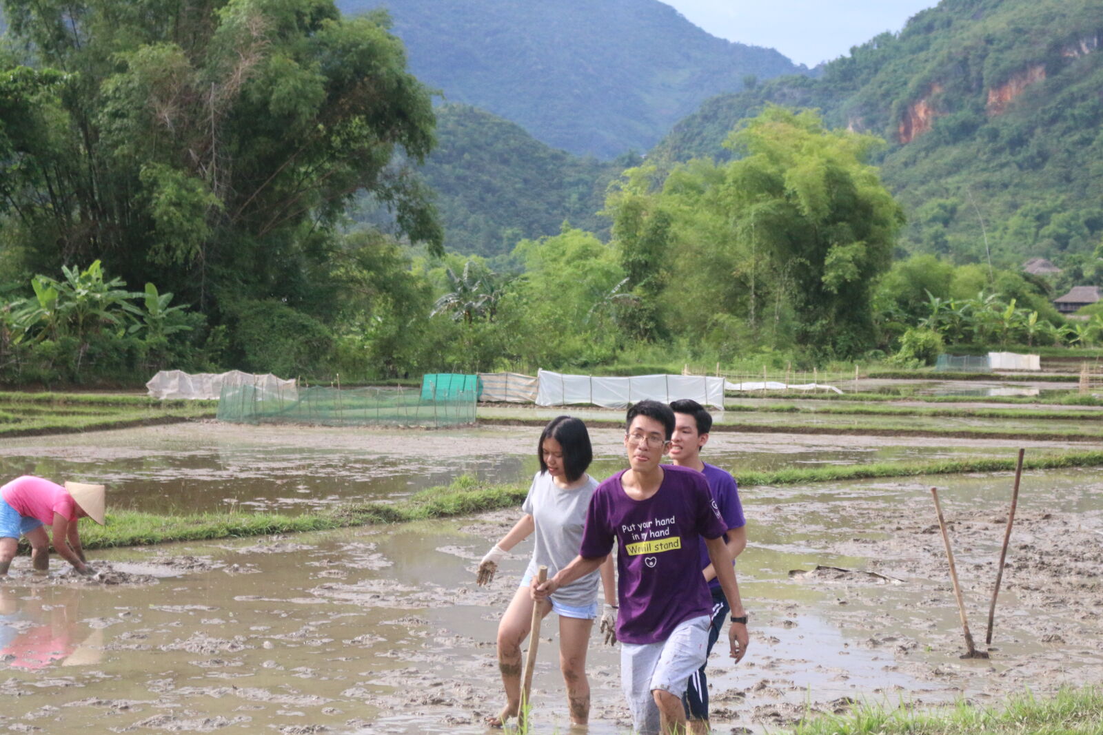 Canon EOS 70D sample photo