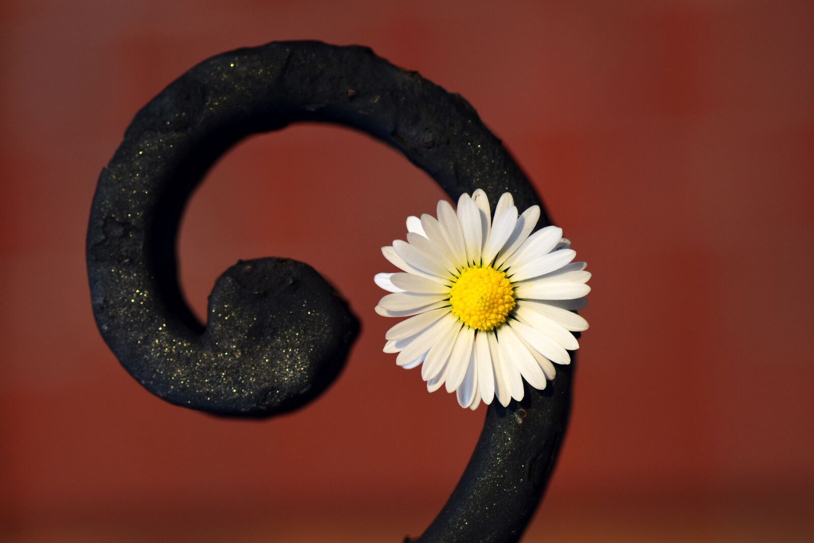 Nikon D3300 sample photo. Flower, snail, metal photography