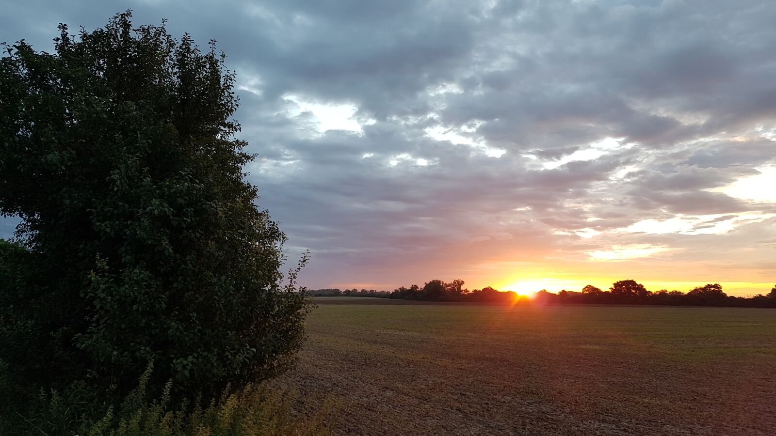 Samsung Galaxy S7 sample photo. Sunset, field, shrub photography