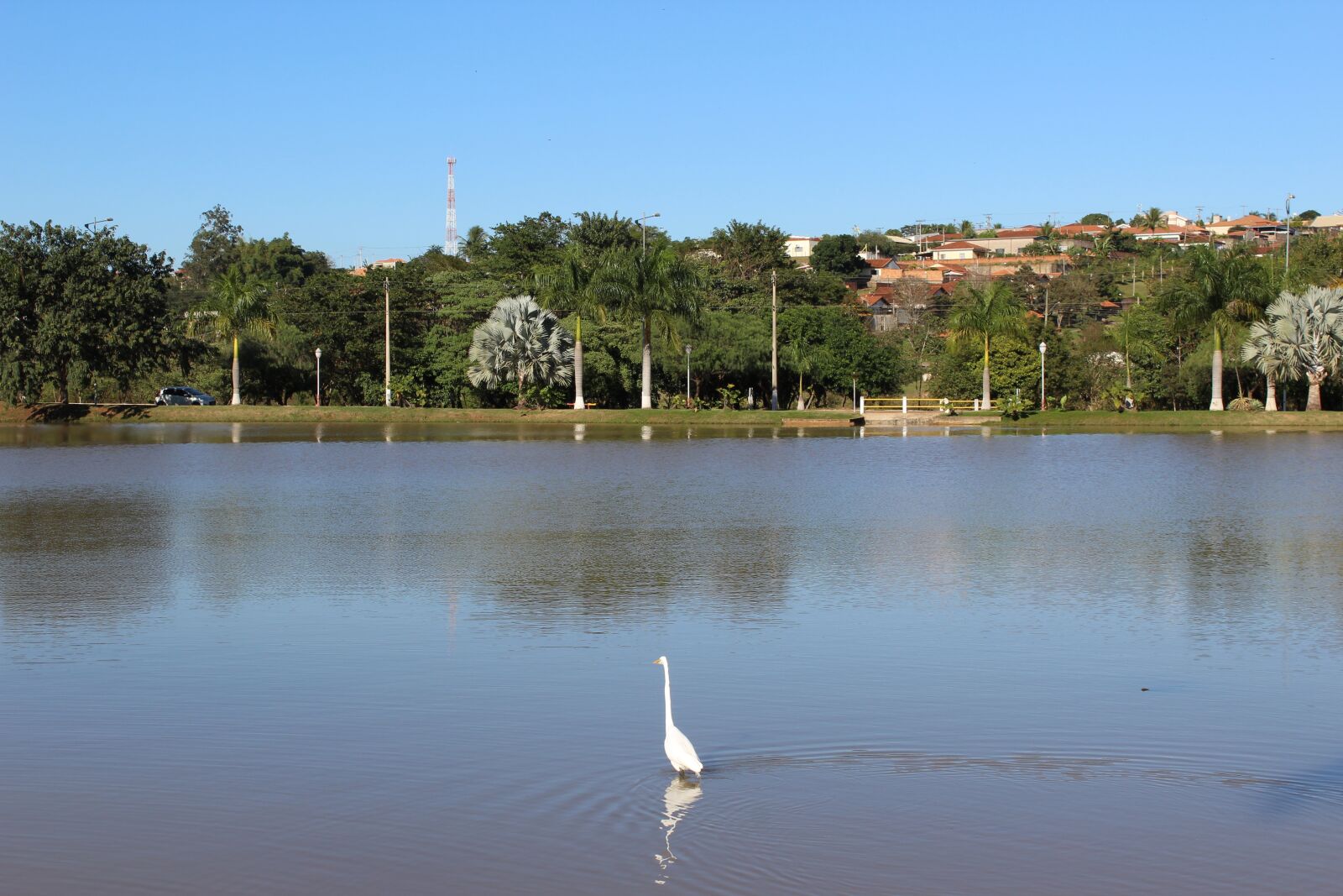 Canon EOS 1200D (EOS Rebel T5 / EOS Kiss X70 / EOS Hi) sample photo. Lake, heron, water photography