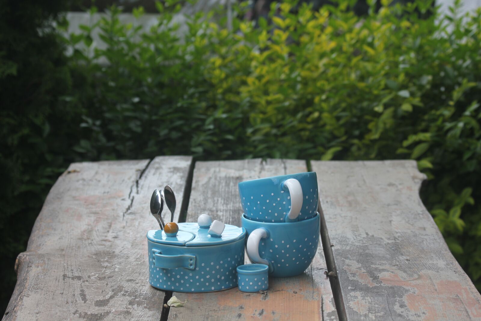 Canon EOS 550D (EOS Rebel T2i / EOS Kiss X4) sample photo. A cup of, romance photography