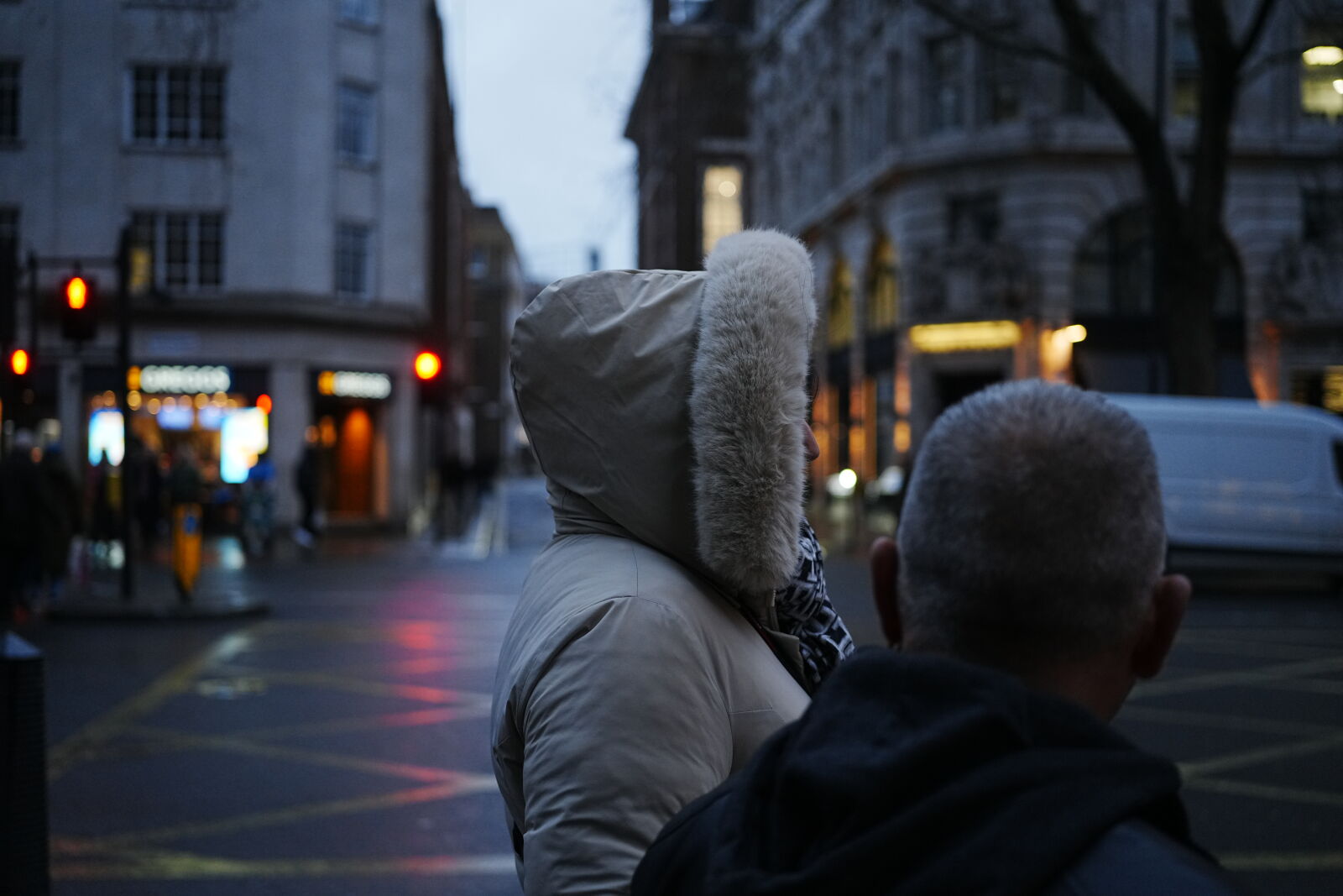 Sony a7R V sample photo