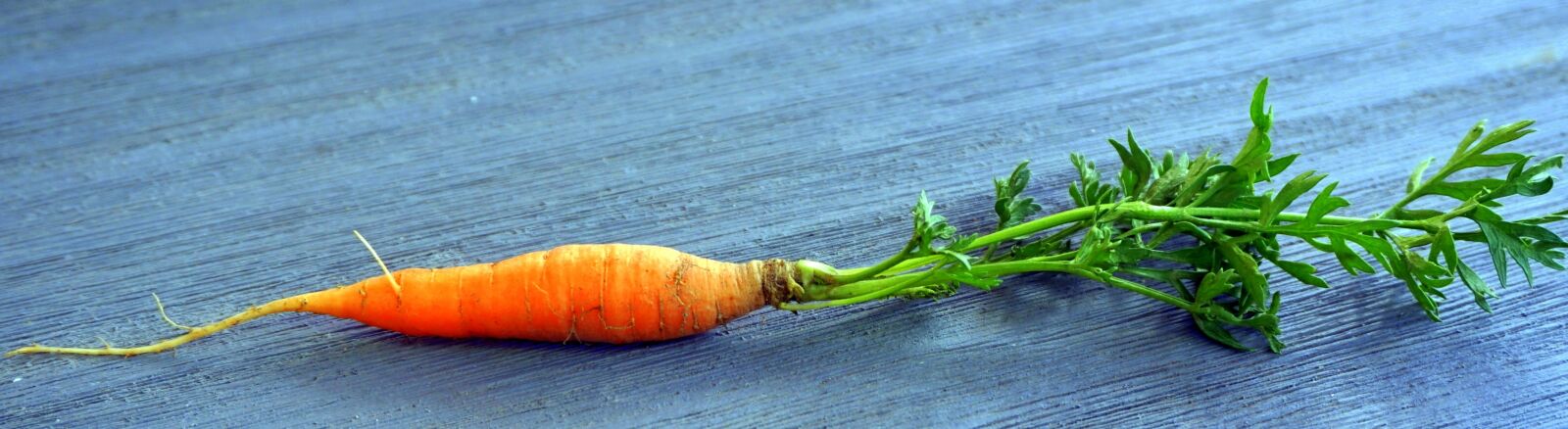 Sony Alpha a5000 (ILCE 5000) sample photo. Carrot, table, panorama photography