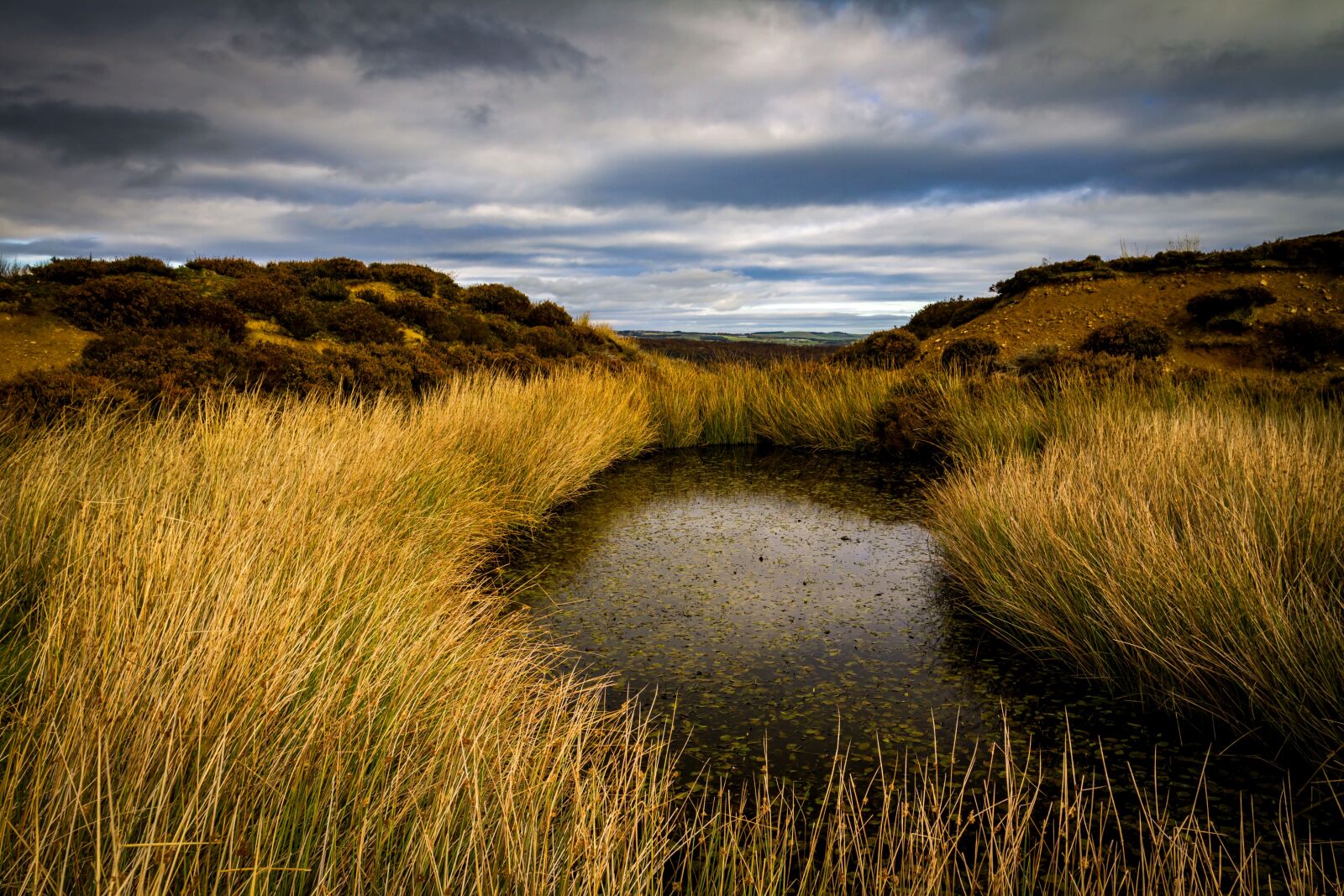 Canon EOS 7D + Canon EF 17-40mm F4L USM sample photo. Pond, moors, nature photography
