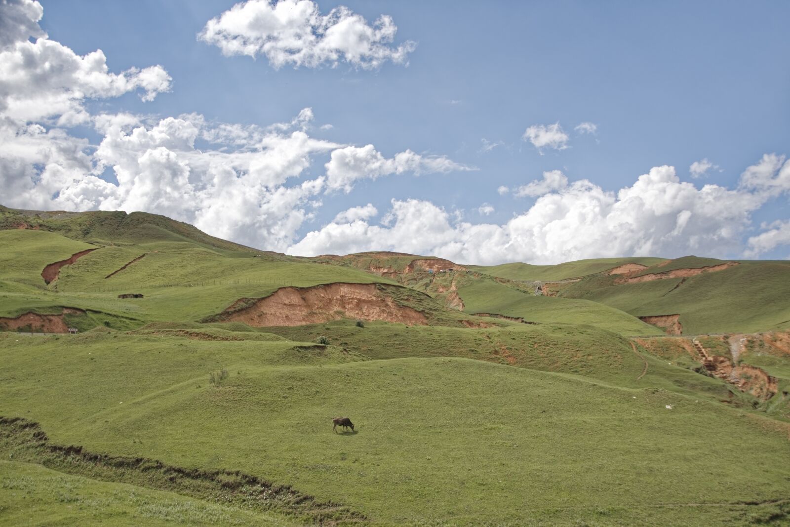 Nikon D500 sample photo. Kyrgyzstan, alai-mountains, alai valley photography