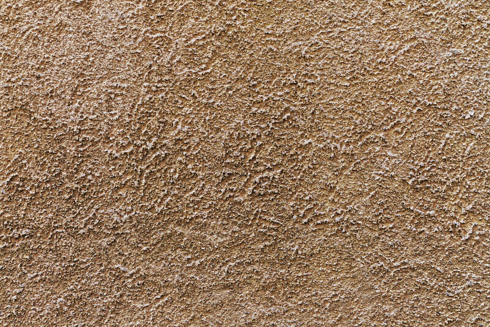 Panasonic Lumix DMC-FZ1000 sample photo. Plaster, facade, structural plaster photography