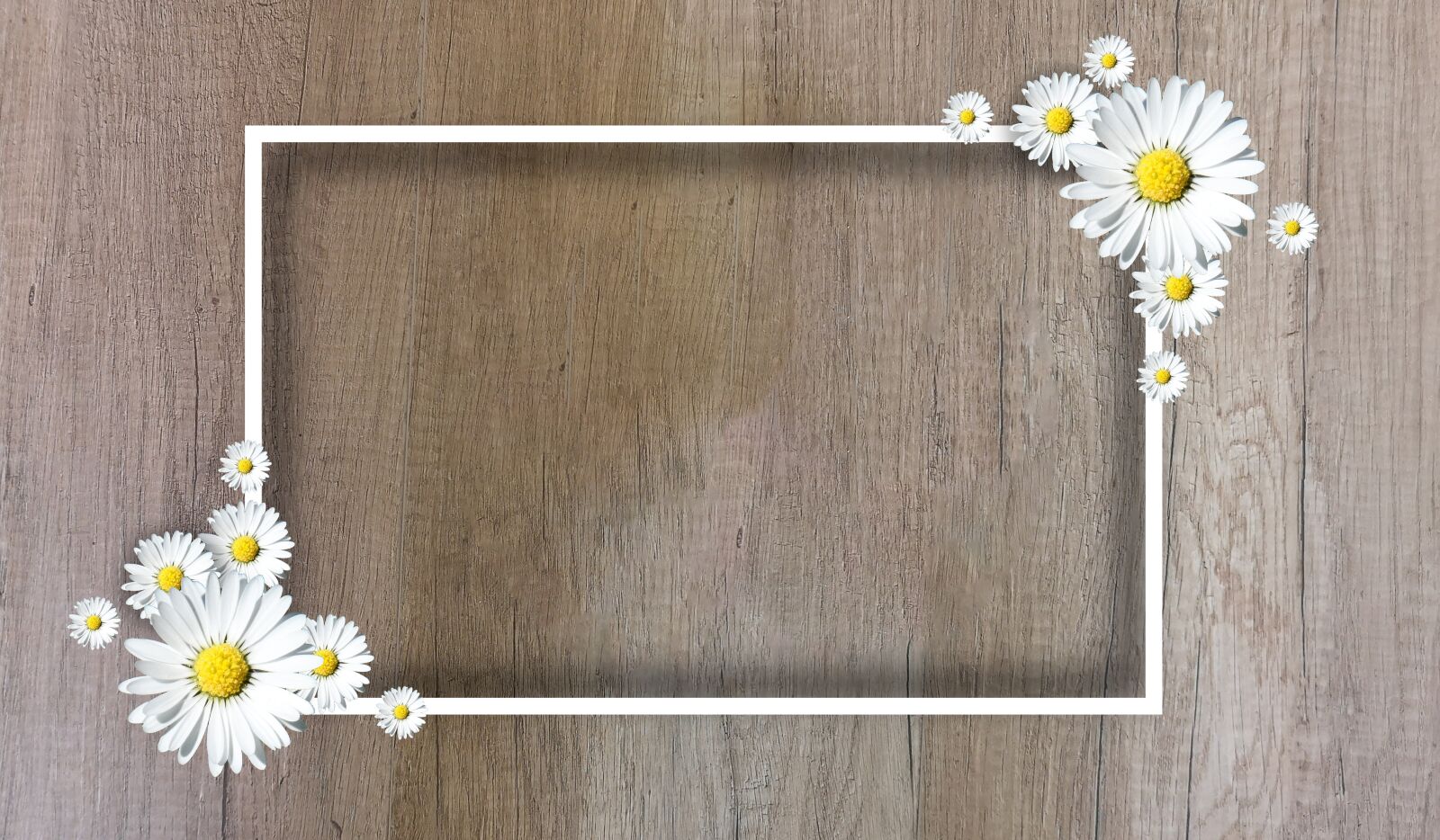 HUAWEI P20 sample photo. Background, flower, frame photography
